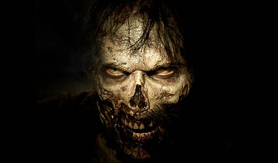 14557670599_6de924e01e_z