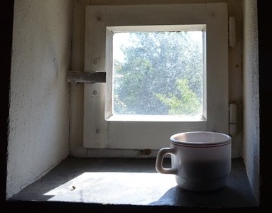 3731354911_84db05df09_o