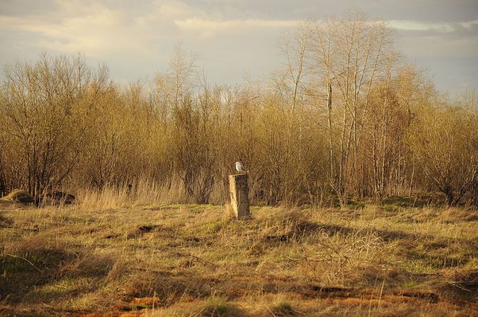 Postapocalyptic_suite_(10653823144)